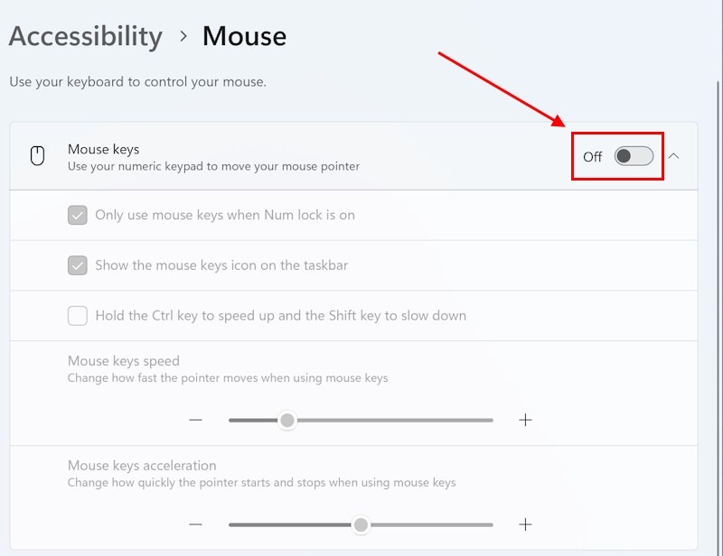 Click the toggle switch for Mouse Keys